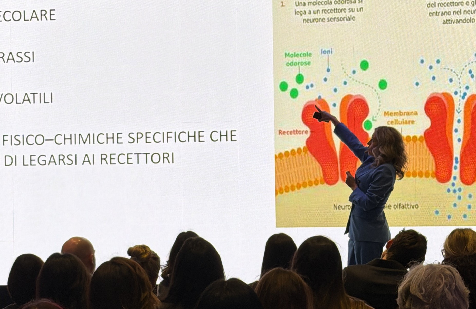 Daniela Maccà - Percorsi ed esperienze olfattive 7